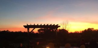 Whole 30 to Whole90: Day 5 Reset